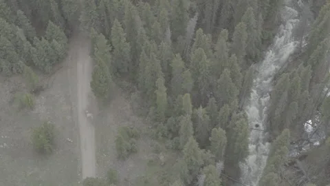 Rushing Rapids Through Forest Stockbeeldmateriaal 248729243