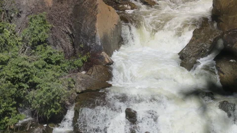 Rushing Rapids through Forest Mossy Rocks Stock Footage 340995739