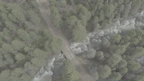 Rushing Rapids Under Small Bridge in Forest Stockbeeldmateriaal 248729373