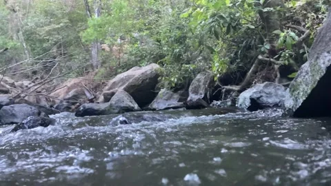 Rushing River 4K B-roll Stock Footage 232797645