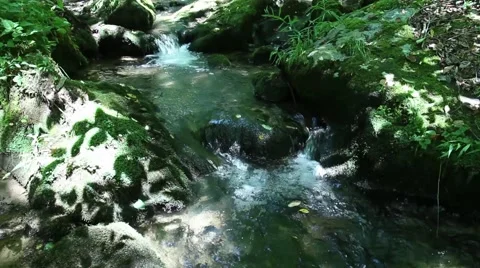 Rushing River and Rocks while Hiking V3 Stock-Footage 52992935