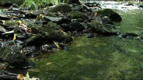 Rushing River and Rocks while Hiking V1-edit.mp4 Stock-Footage 53544598