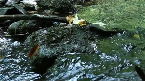 Rushing River and Rocks while Hiking  Stock-Footage 53544618