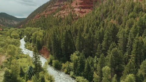 Rushing river below red cliffs and pine forest aerial Stock-Footage 154887796