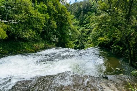 Rushing River Cascading Over Ledge Forest Fotos Stock