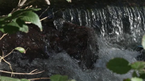 Rushing river in Denver Stock Footage 318336908