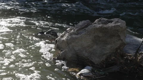 Rushing river in Denver Stock Footage 318337027