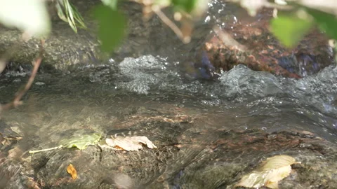 Rushing river in Denver Stock Footage 318337034