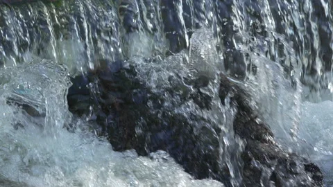 Rushing river in Denver 動画素材 318337241