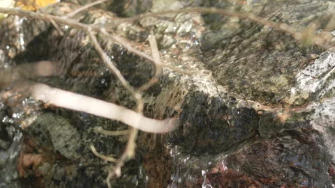 Rushing river in Denver 動画素材 318337243