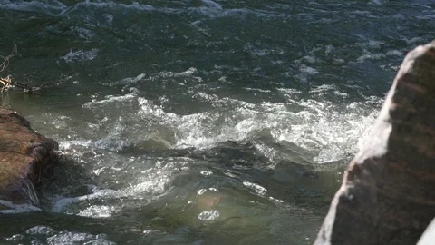 Rushing river in Denver Stock Footage 318337271