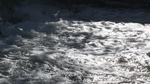 Rushing river in Denver Stock Footage 318337339
