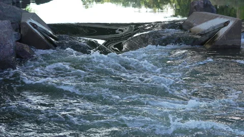 Rushing river in Denver Stock Footage 318337657