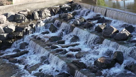 Rushing river in Denver Stock Footage 318337807