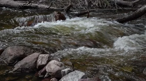 Rushing River at Eldorado Canyon State Park 02 库存影片 41650722