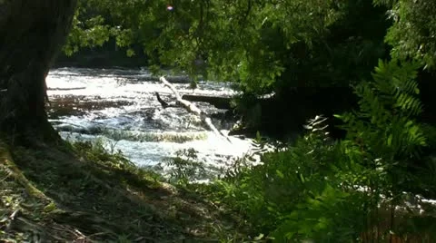 Rushing River Stock Footage 21279890