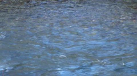 Rushing River Stock Footage 42942119