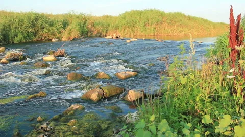 Rushing river 스톡 동영상 53403471