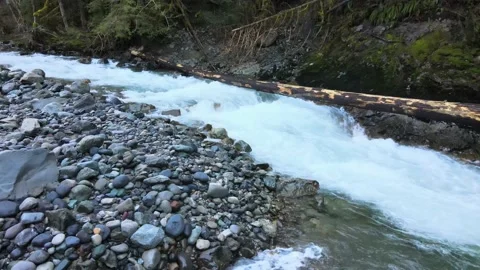 Rushing River Stock Footage 170465916