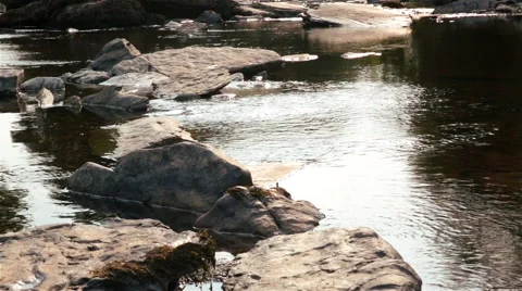 Rushing River in Lush, Dense Forest 2 Stock Footage 49507149