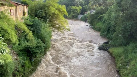 Rushing River in Lush Green Valley Surging Through Narrow Gap Stock Footage 333306887
