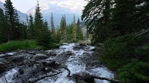 Rushing river in a mountain setting filmed at 60fps surrounded by trees  Stock Footage 157686690