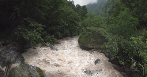 A rushing river in the mountains, surrounded by a coniferous forest Stock Footage 290284200