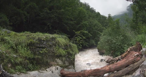 A rushing river in the mountains, surrounded by a coniferous forest Stock Footage 290284390