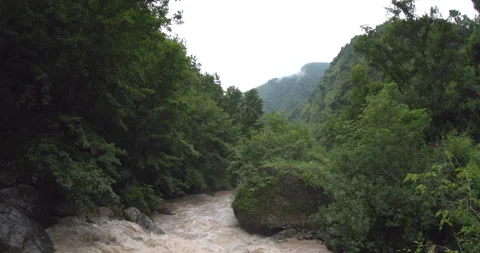 A rushing river in the mountains, surrounded by a coniferous forest Stock Footage 290284476