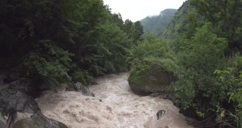 A rushing river in the mountains, surrounded by a coniferous forest Stock Footage 290284827