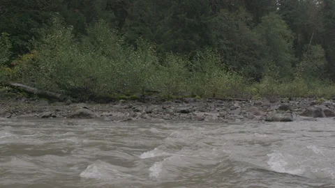 Rushing River in Pacific Northwest Forest Vídeos de archivo 333424777