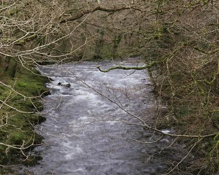 The rushing river Foto stock