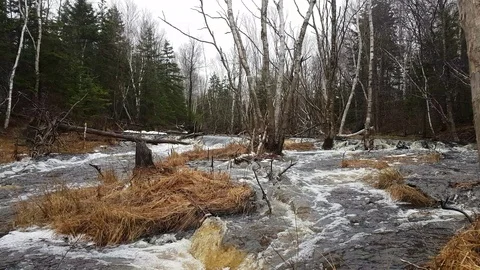Rushing river on rainy day Stock Footage 89111289