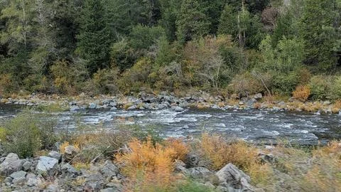 Rushing river rapids cut through rocks and greenery Stock Photos