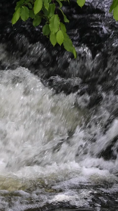 Rushing river rapids flowing in nature Stock Footage 338281666