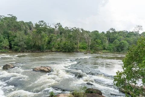 Rushing river rapids flowing through a lush green tropical jungle forest la.. Stock Photos