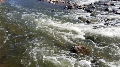 Rushing river rapids Stock Footage 86035437