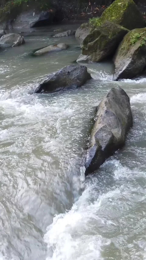 Rushing River Rapids Freshwater Stream along Mossy Stones, White Water Texture Stock Footage 342053822