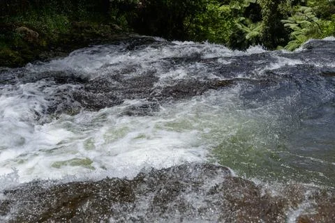 Rushing River Rapids Over Rocky Forest Ledge Фото