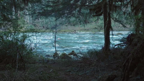 Rushing River Seen Through Forest Shadows | Moody Wilderness Scene in 4K Stock Footage 312084848