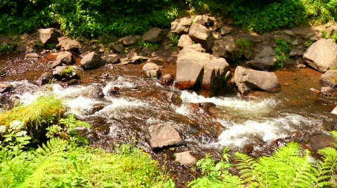 Rushing River in Slow Motion Stock Footage 313558