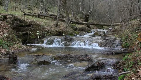 Rushing river in a spring forest Vídeos de archivo 10894159