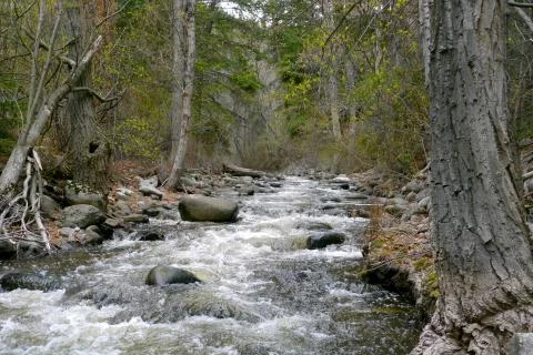 A rushing river in spring Stock Photos