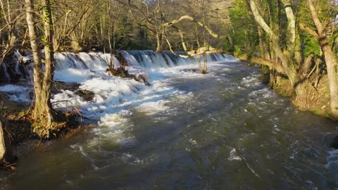 Rushing River Stream Over Mountain Park Stock Footage 262333208
