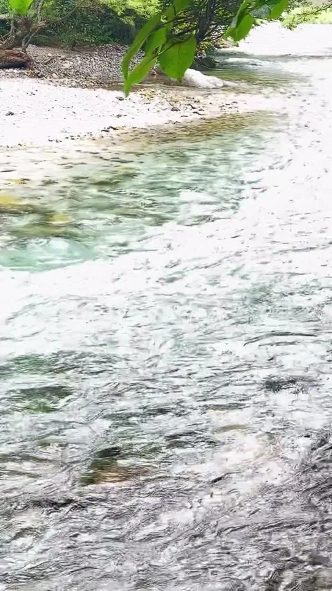 Rushing River Stream Over Smooth Pebbles 库存影片 342266707