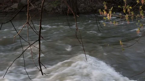 Rushing River at sunset with live and dead branches in view Stock Footage 62910441