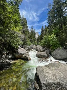 Rushing River through Forest Stock Photos