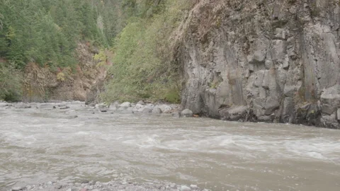 Rushing River Through Rocky Channel in Oregon Forest in Fall Stock Footage 333424385