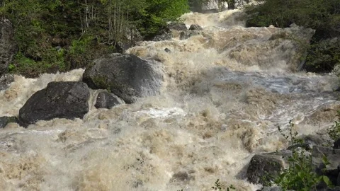 Rushing river water crashing through forest - Untamed River and Storm Aftermath Stock Footage 339565389