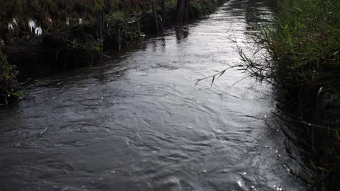 Rushing river water into the fields. 動画素材 156368095